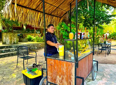 Parada para nadar en cenote en el tour a Chichén Itzá, Valladolid y cenote